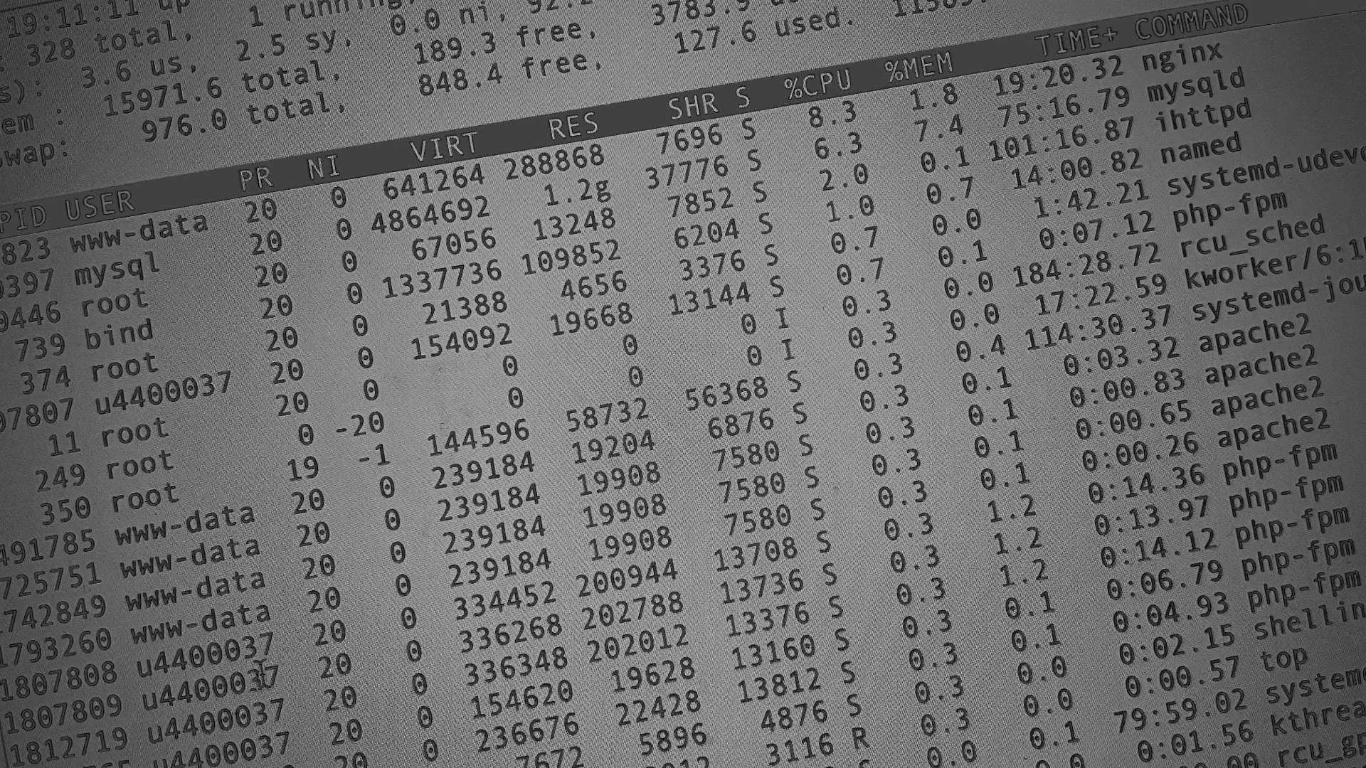 Настройка сервера в Осинниках